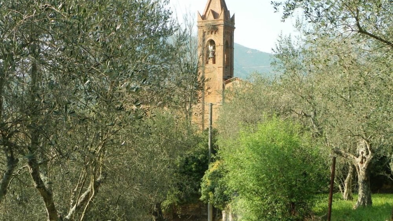 Photo of Outdoor in Calci