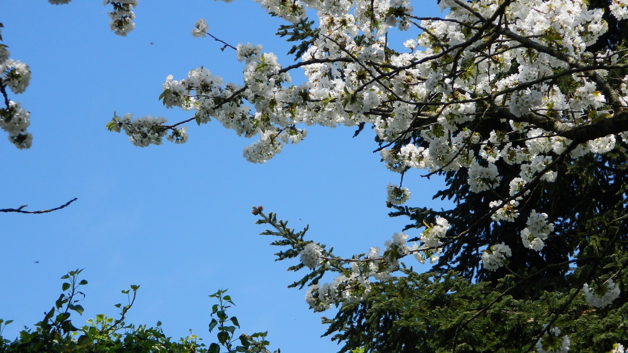 Photo of Outdoor in Calci