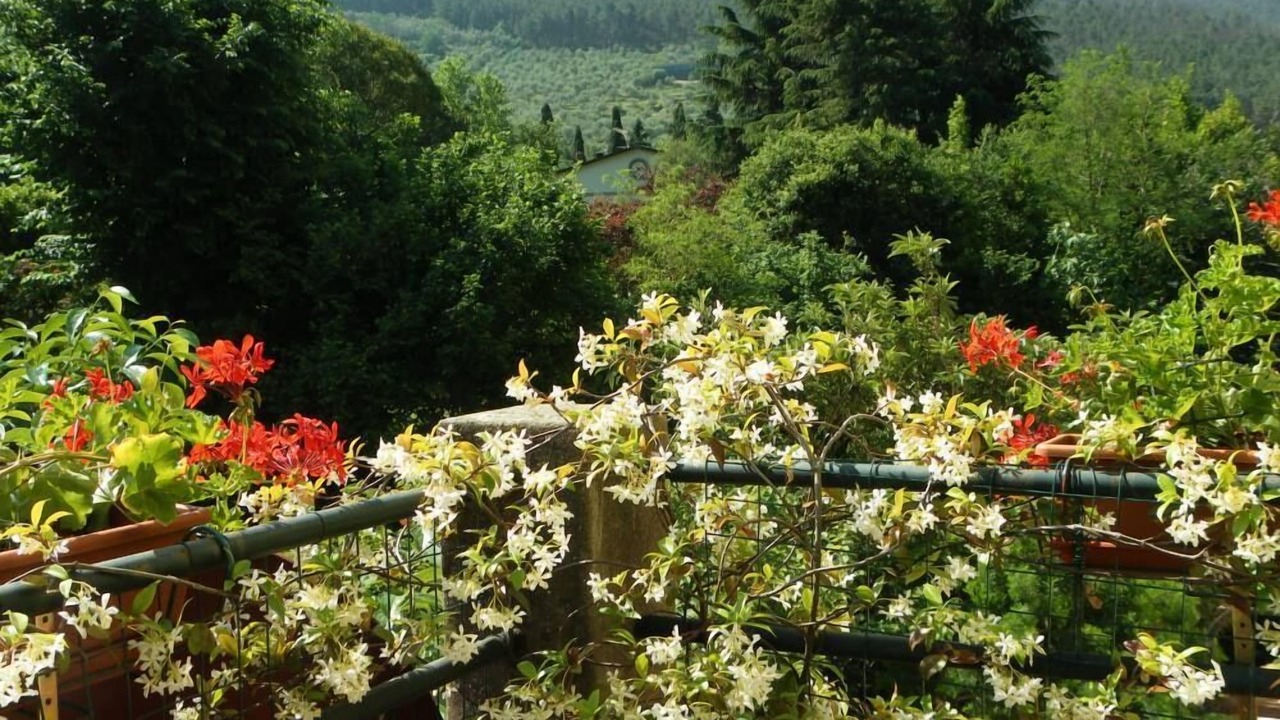 Photo of Outdoor in Calci