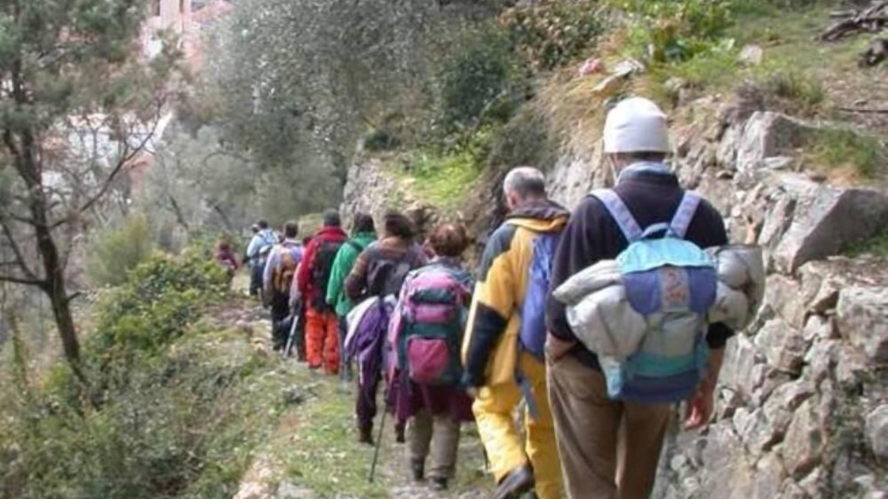Photo of Others in Calci