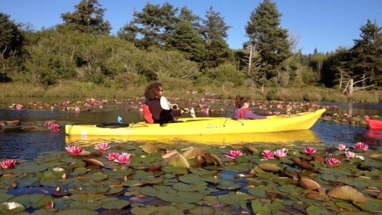 Photo of Others in Happy Camp Hideaway