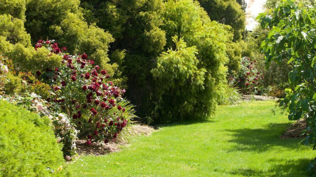 Photo of Outdoor in Mansfield
