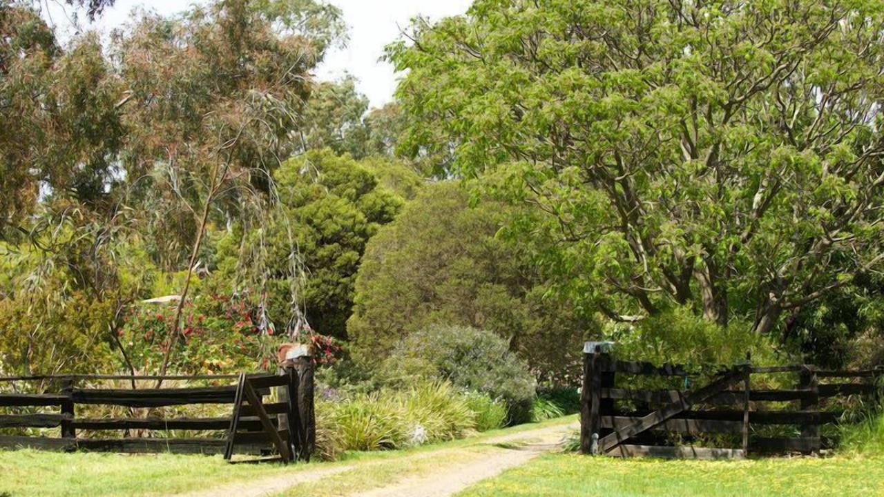 Photo of Outdoor in Mansfield
