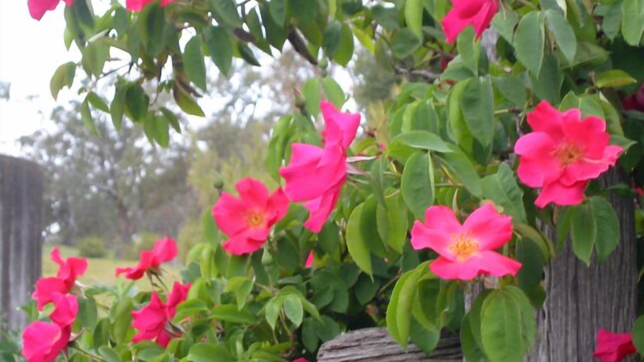 Photo of Outdoor in Mansfield