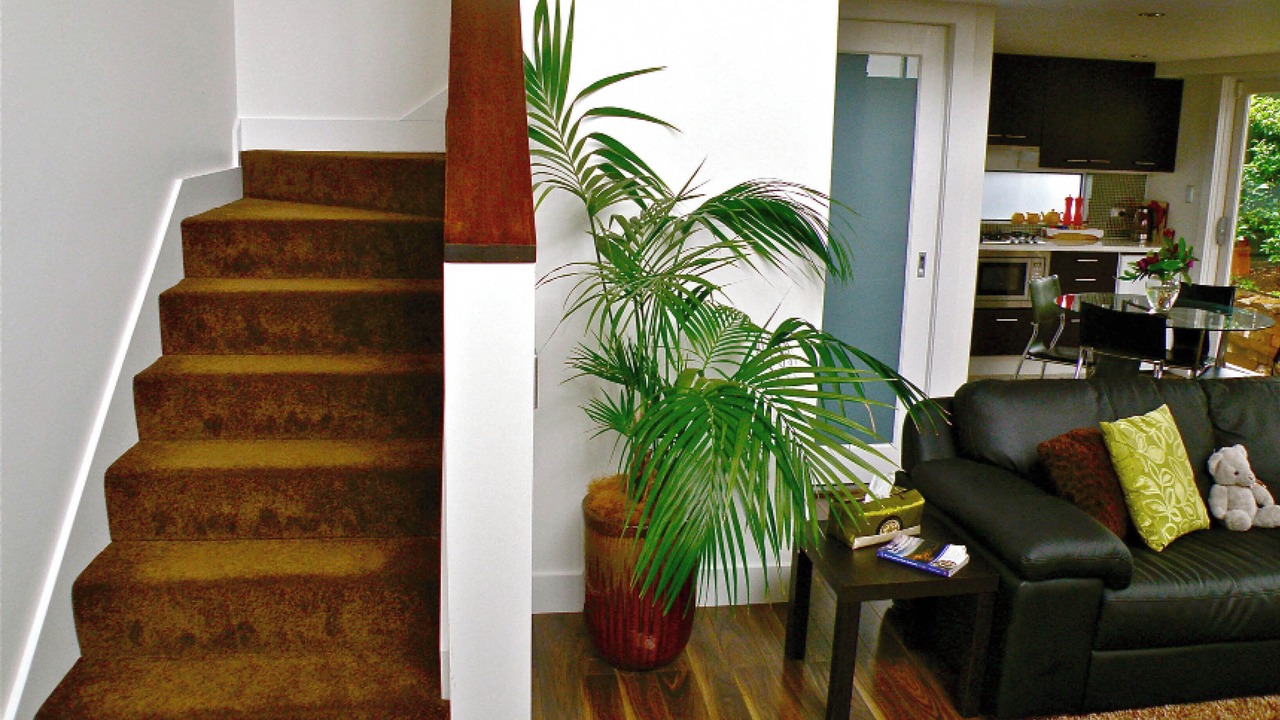 Photo of Livingroom in Katoomba