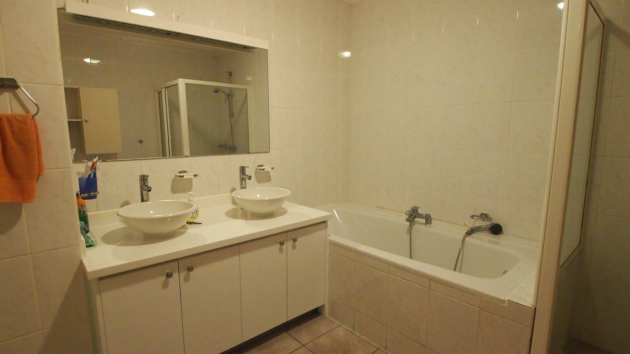 Photo of Bathroom in Piscadera