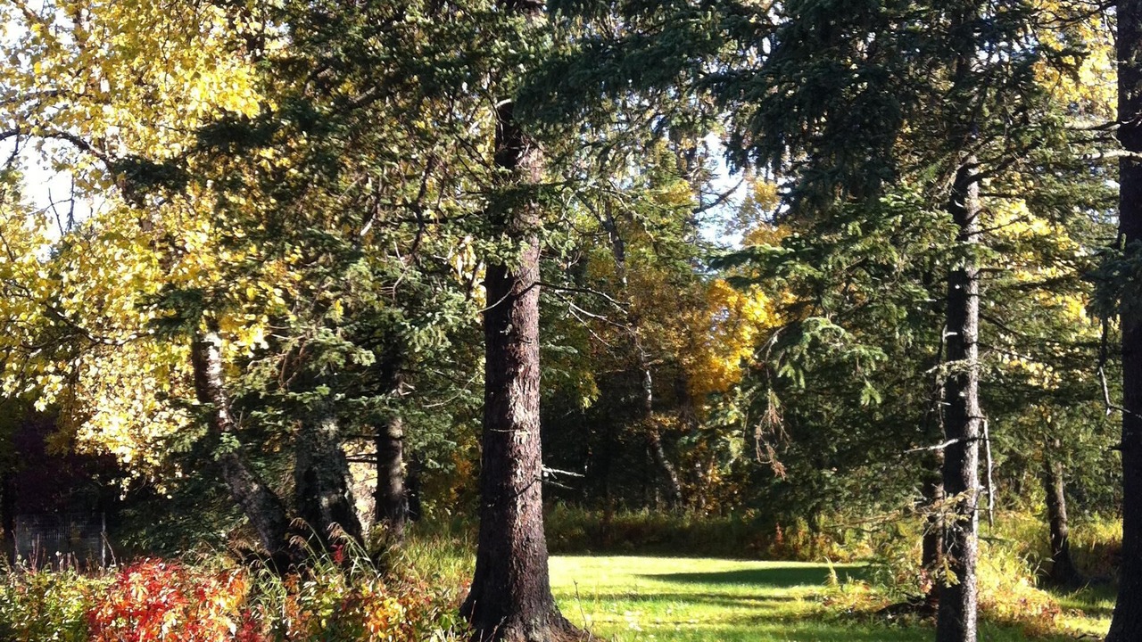 Photo of Others in Palmer