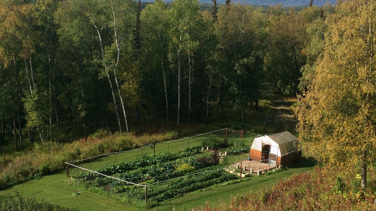 Photo of Outdoor in Palmer