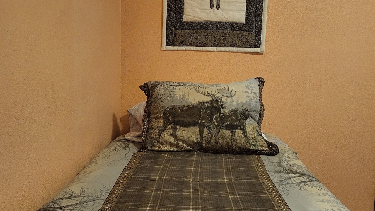 Photo of Bedroom in Moose Pass