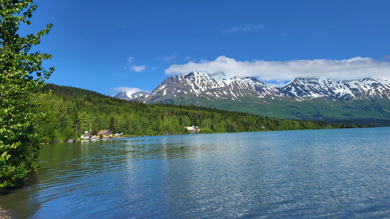 Photo of Others in Moose Pass
