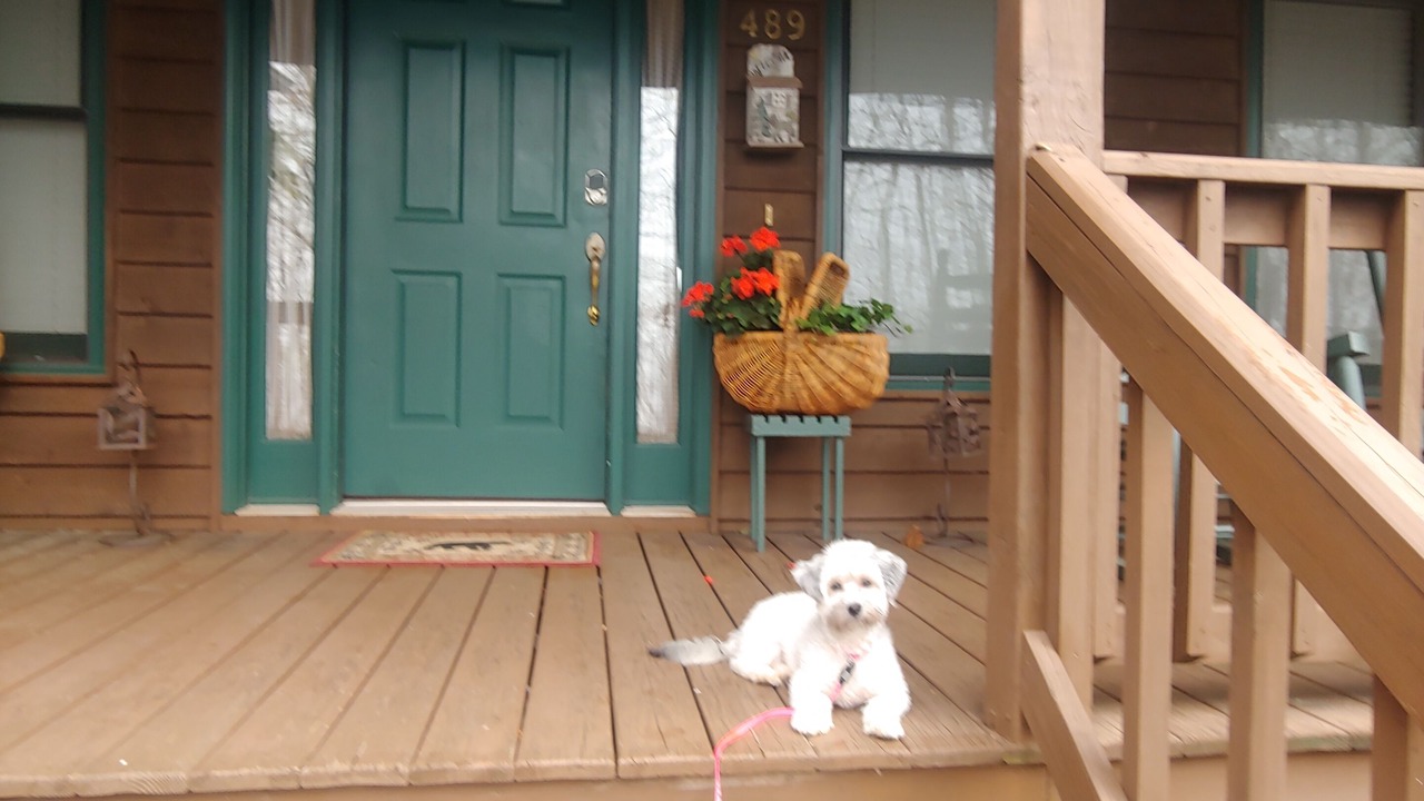 Photo of Outdoor in Eagles View