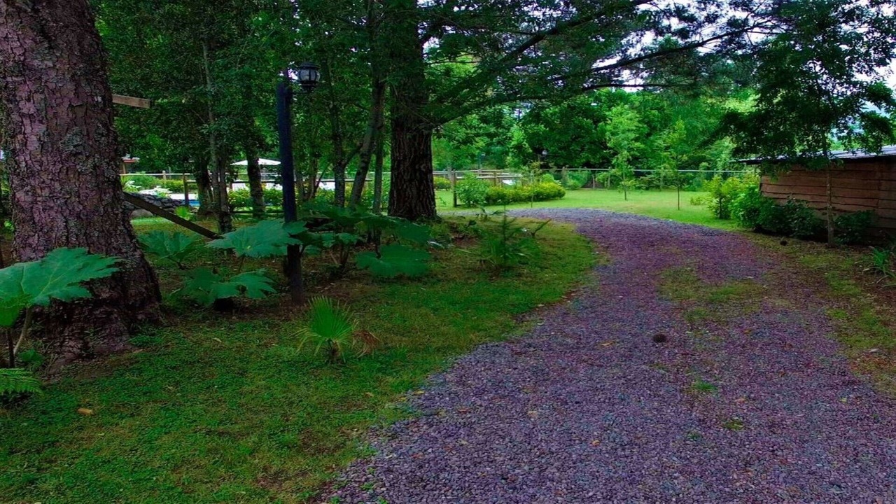 Photo of Outdoor in Lican Ray