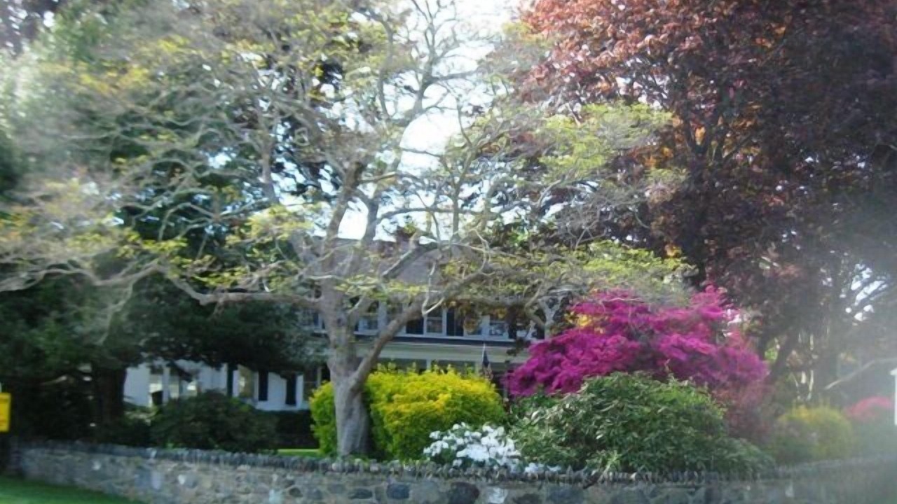 Photo of Others in Shoreby Hill