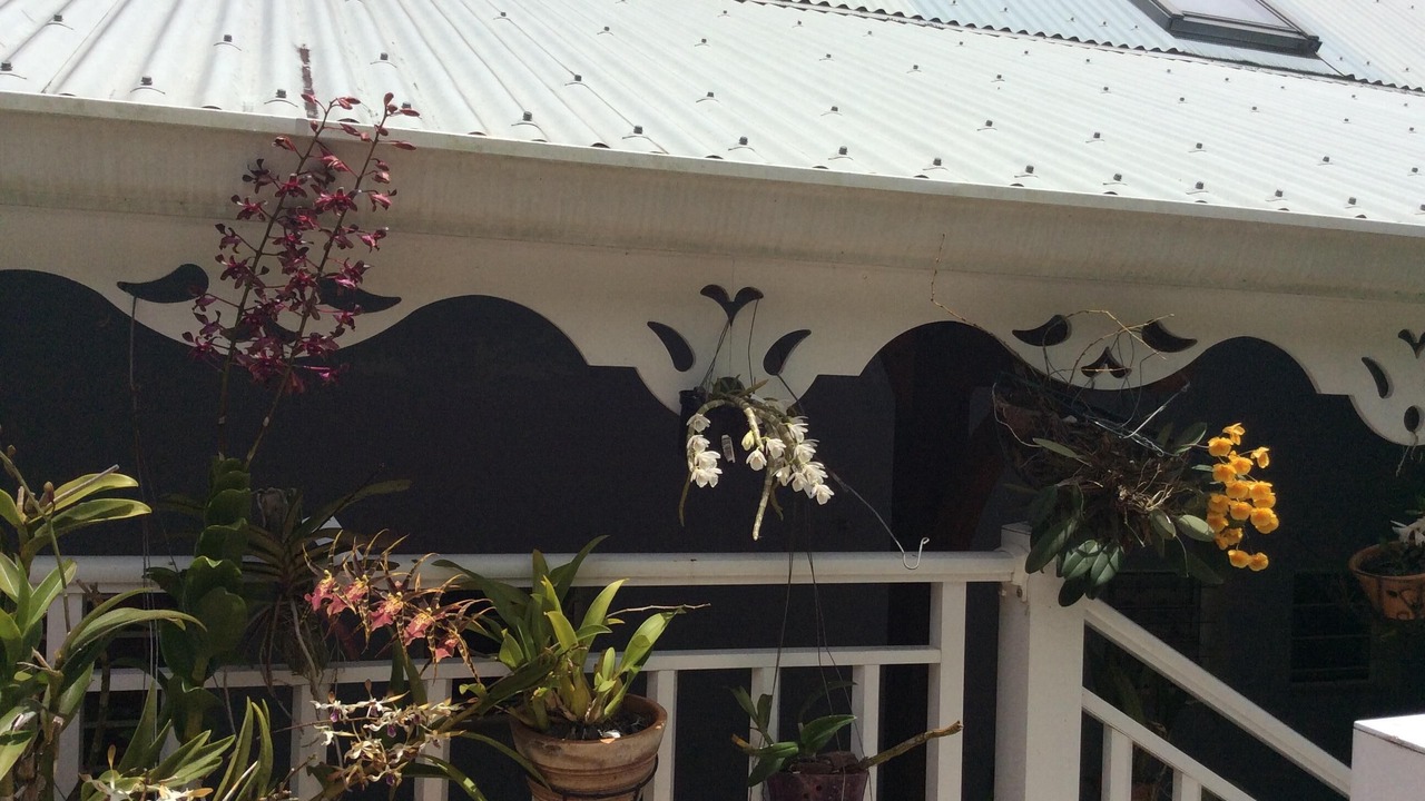 Photo of Outdoor in Cafeiere