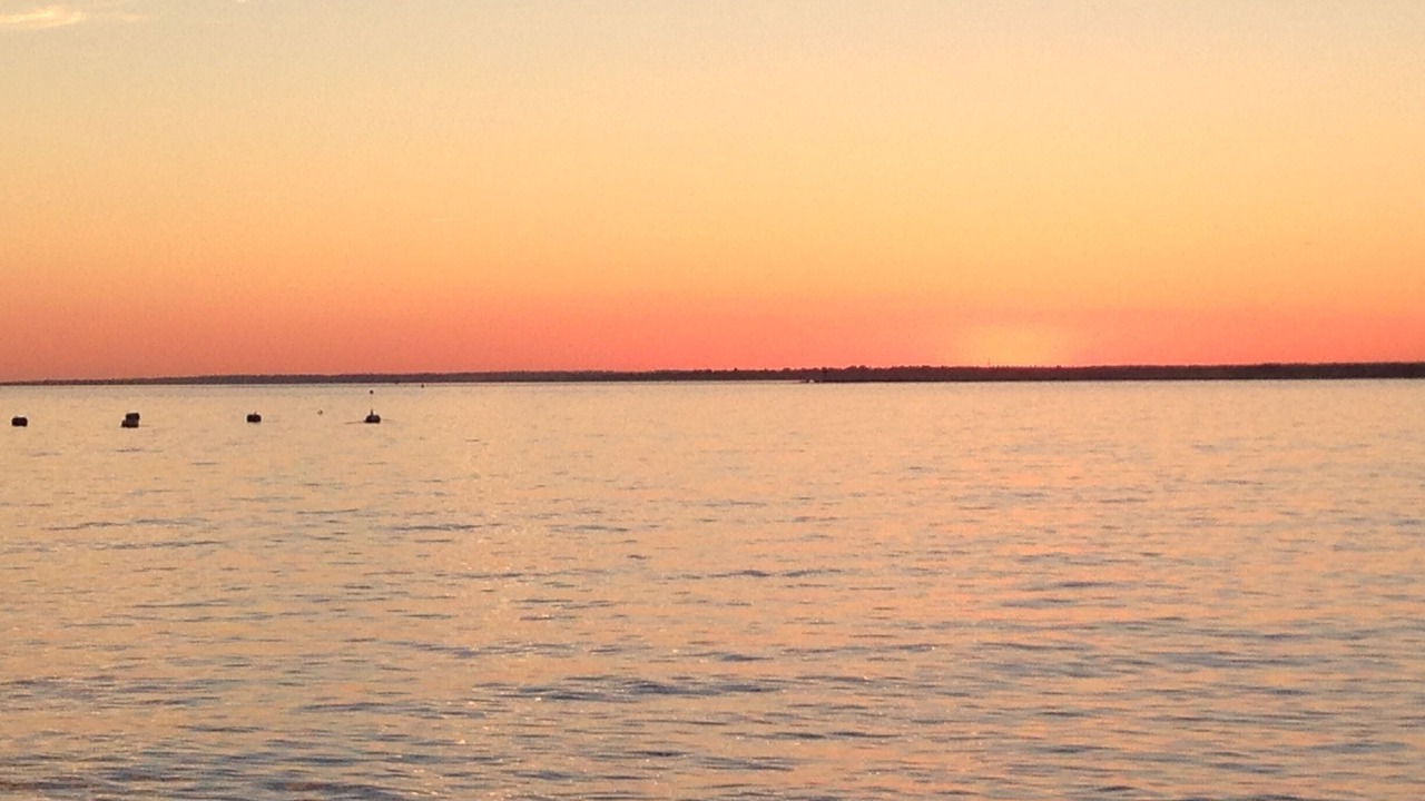 Photo of Others in Point Judith