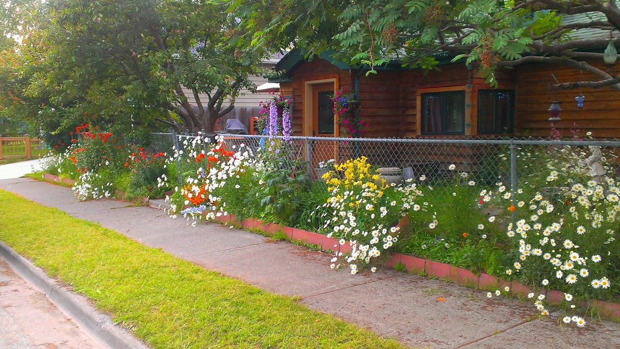Photo of Outdoor in South Addition