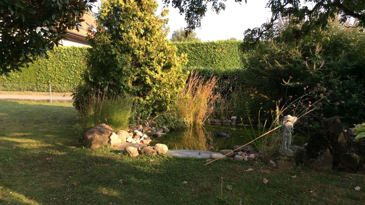Photo of Outdoor in Duillier