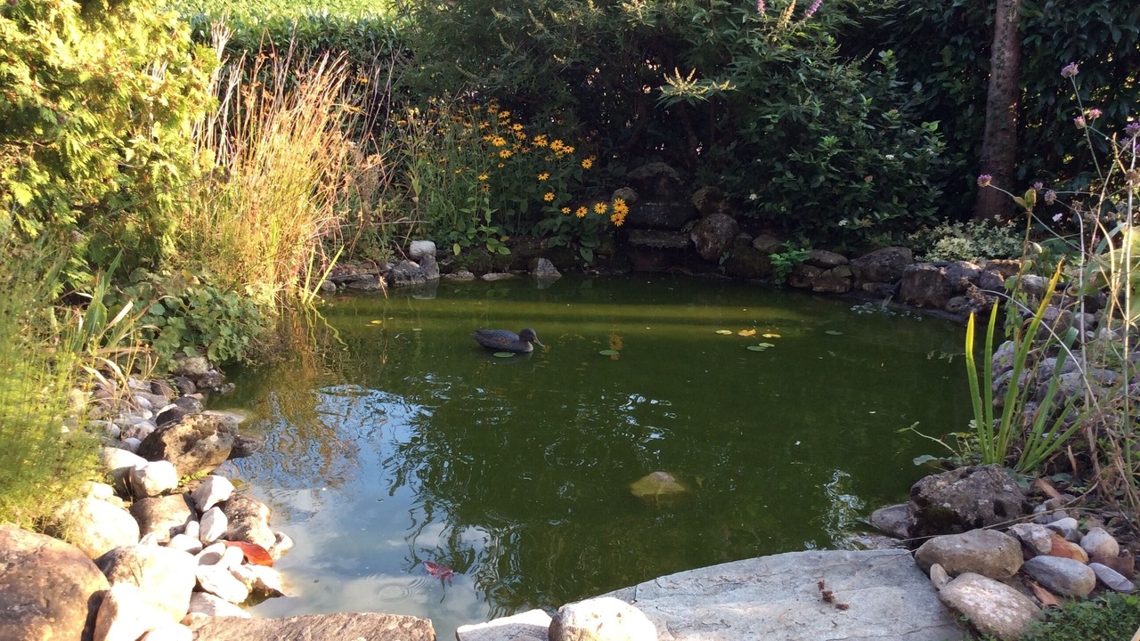 Photo of Outdoor in Duillier