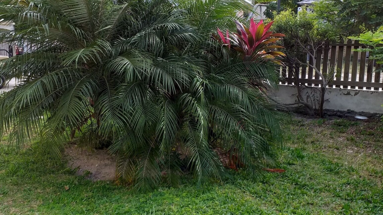Photo of Outdoor in Dunmore Town
