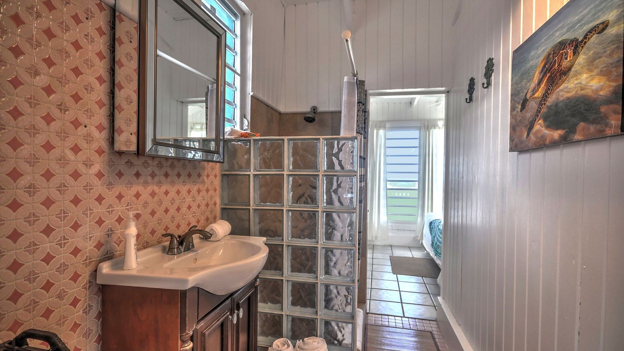 Photo of Bathroom in Bravos de Boston