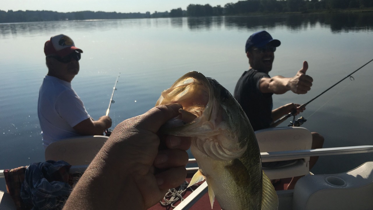 Photo of Others in Coldwater