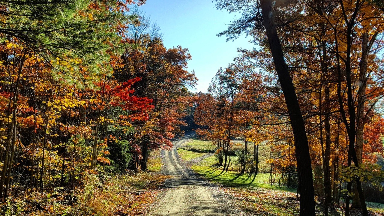 Photo of Others in Glen Lyn