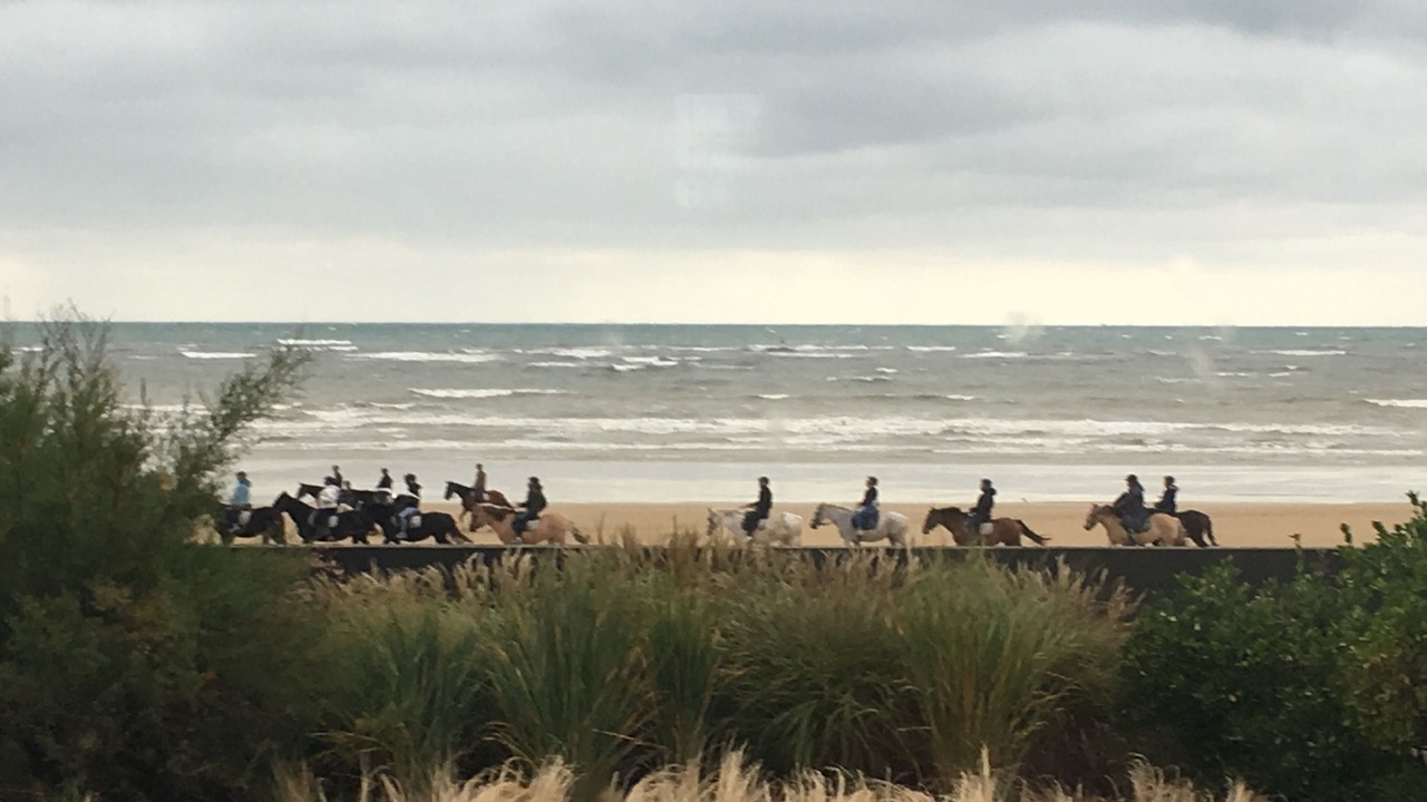 Photo of Others in Hermanville-sur-Mer