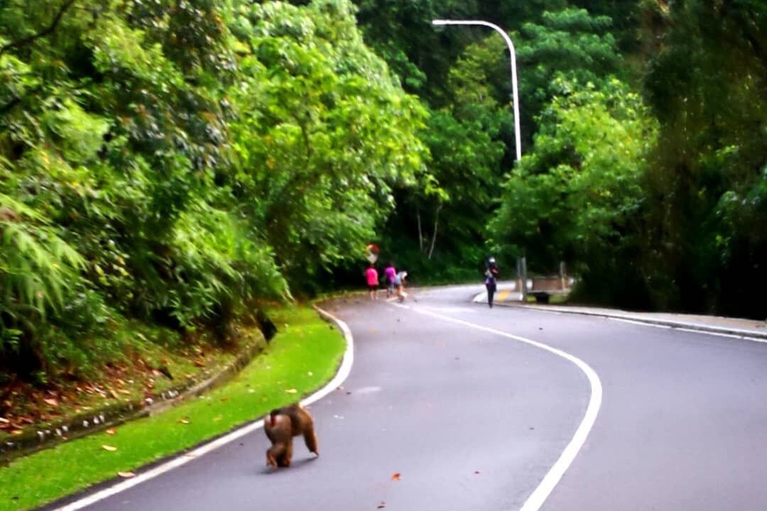 Photo of Others in Ampang