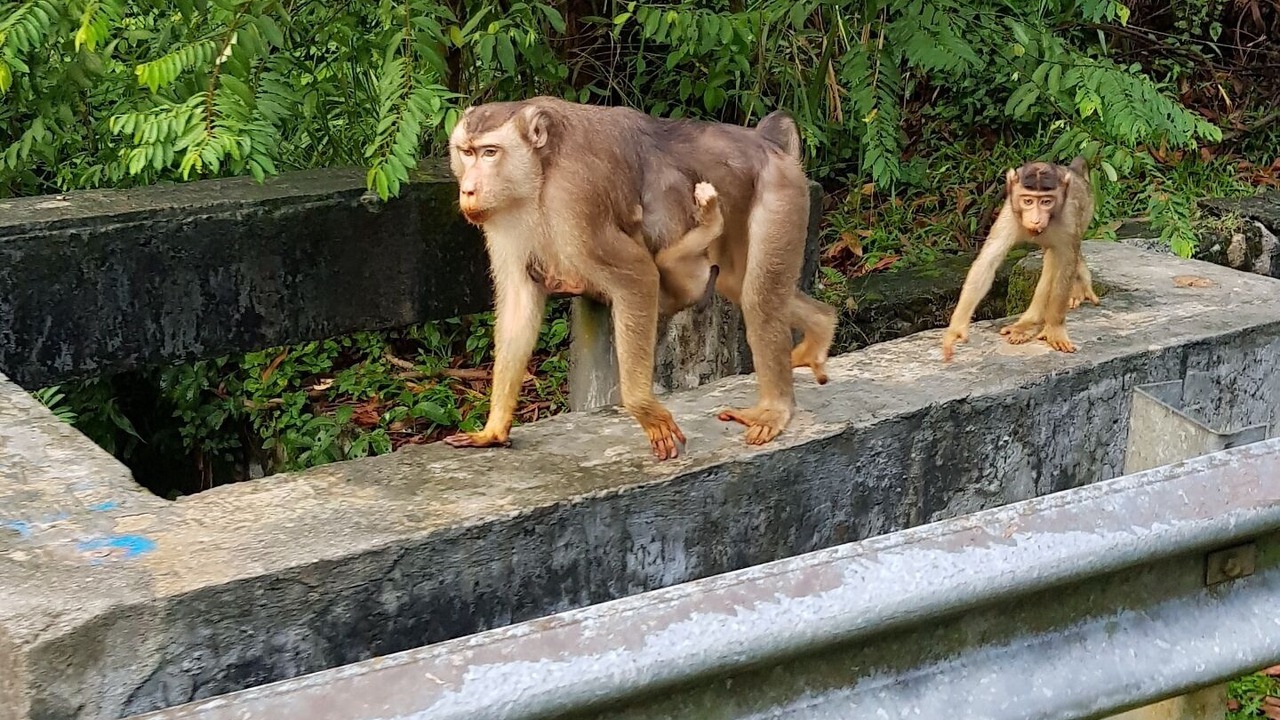 Photo of Others in Ampang