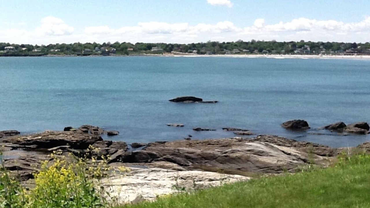 Photo of Others in Easton's Point