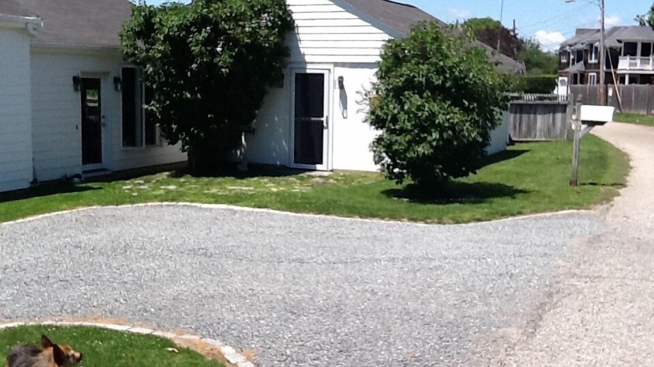 Photo of Others in Easton's Point
