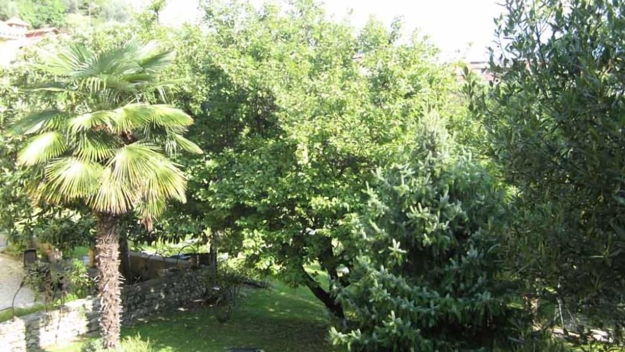 Photo of Outdoor in Vittorio Veneto