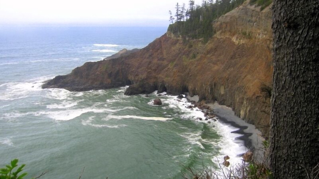 Photo of Others in Manzanita