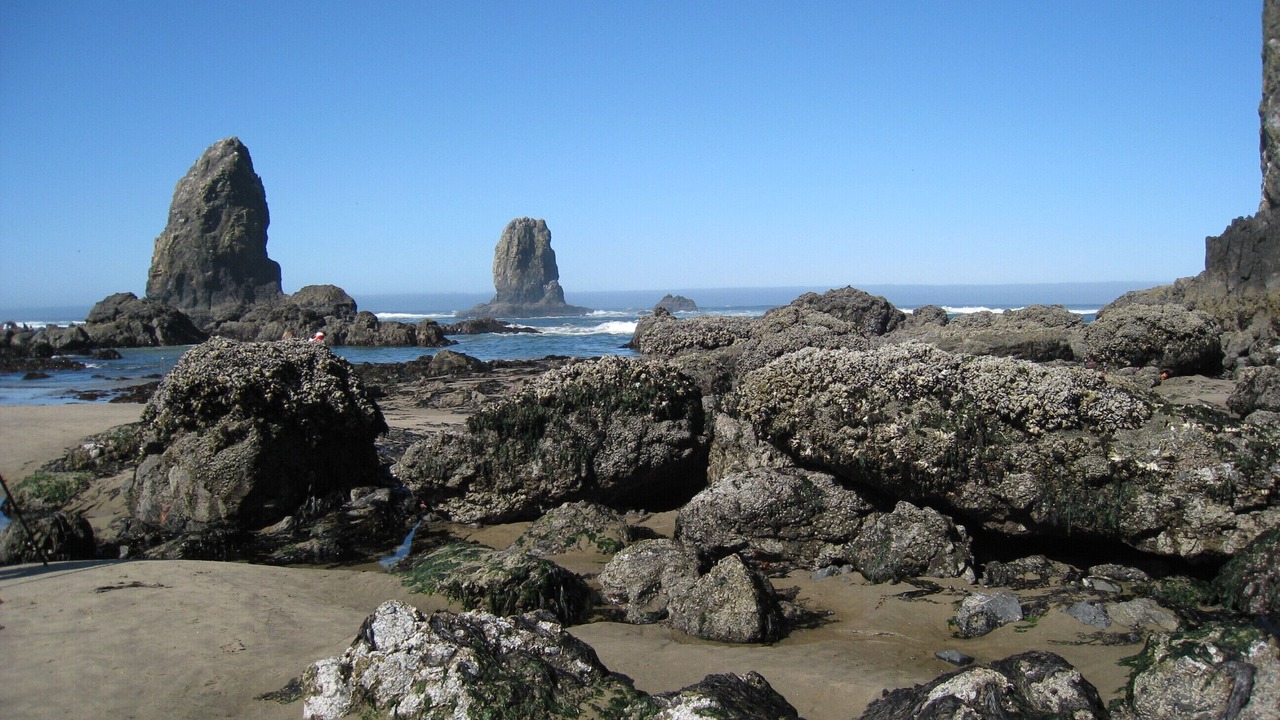Photo of Others in Manzanita