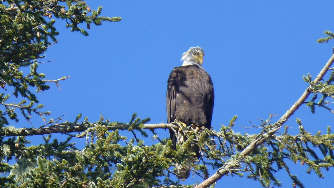 Photo of Others in Manzanita