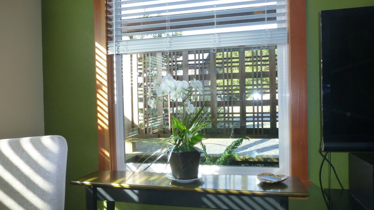 Photo of Outdoor in Manzanita