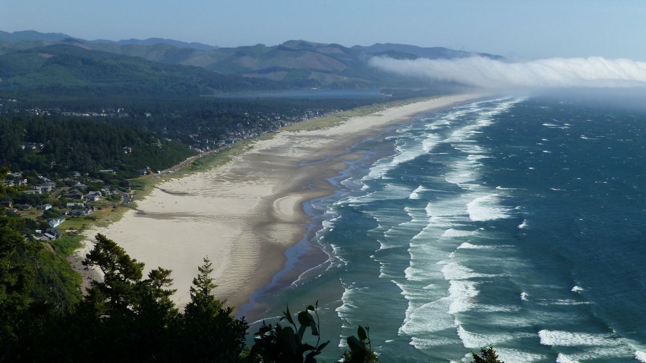 Photo of Others in Manzanita