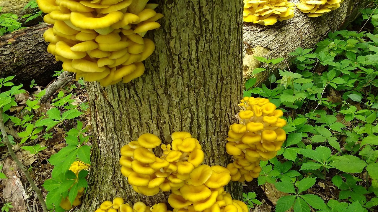 Photo of Others in Baraboo