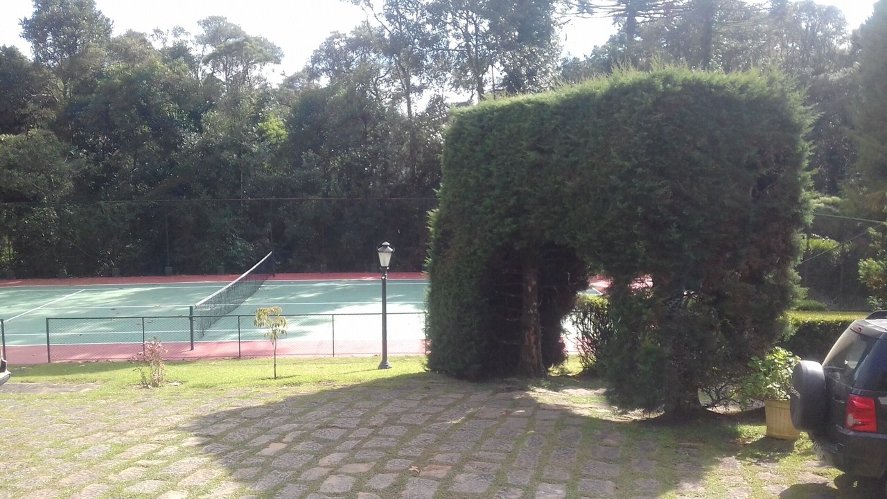 Photo of Others in Monte Verde