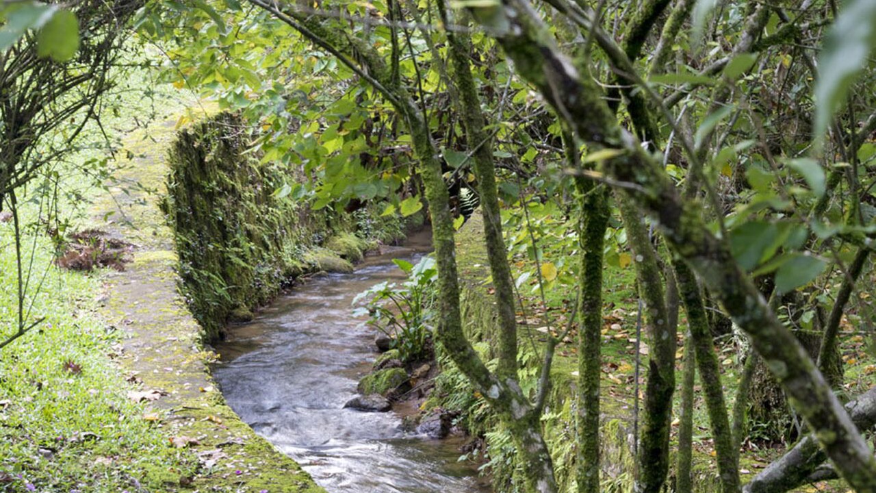 Photo of Outdoor in Monte Verde