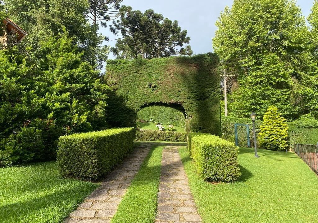 Photo of Outdoor in Monte Verde