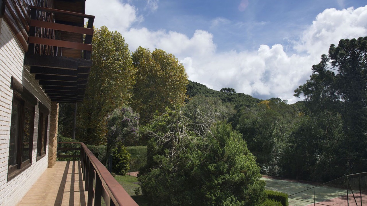 Photo of Outdoor in Monte Verde