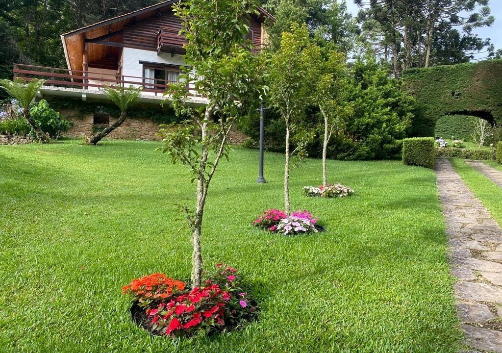 Photo of Outdoor in Monte Verde