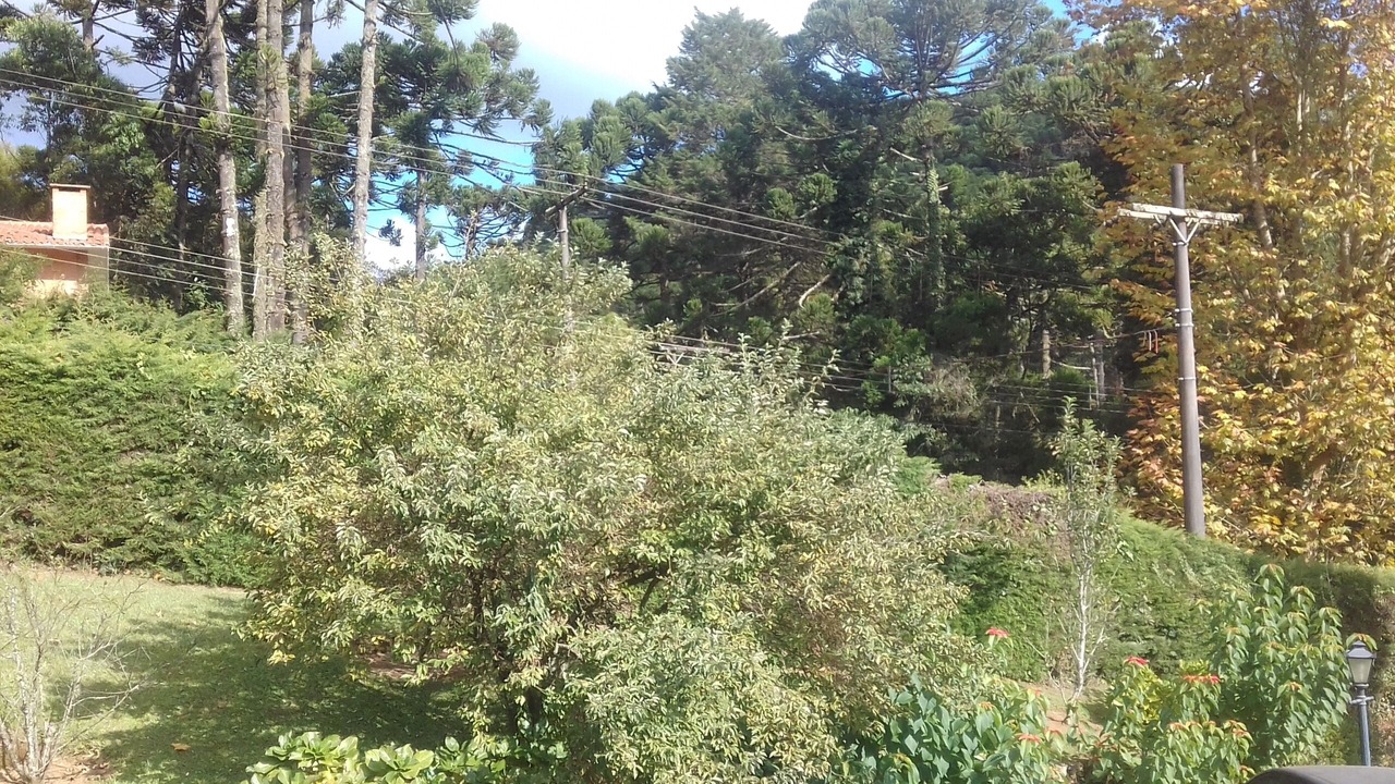 Photo of Outdoor in Monte Verde