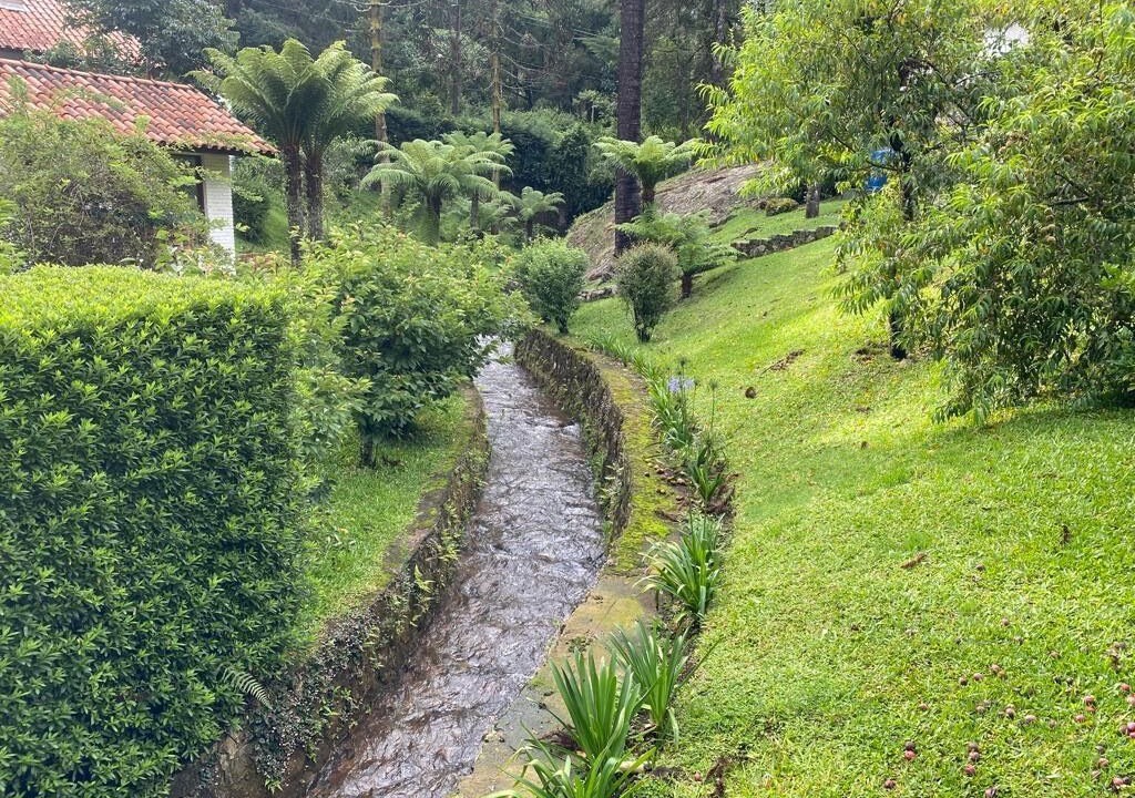 Photo of Outdoor in Monte Verde