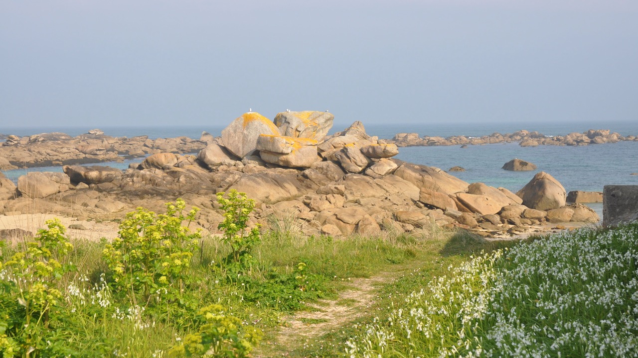 Photo of Others in Treflez