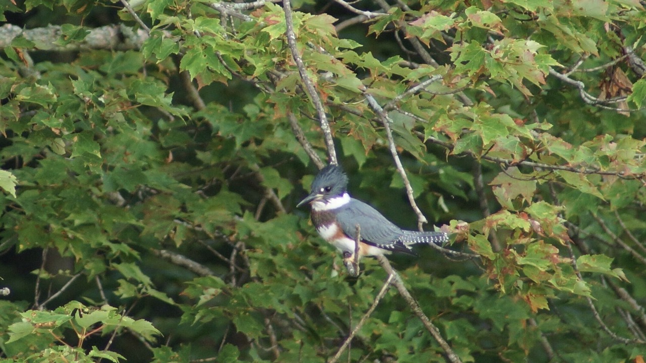 Photo of Outdoor in St Germain