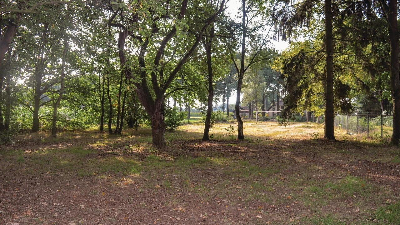 Photo of Others in Leende