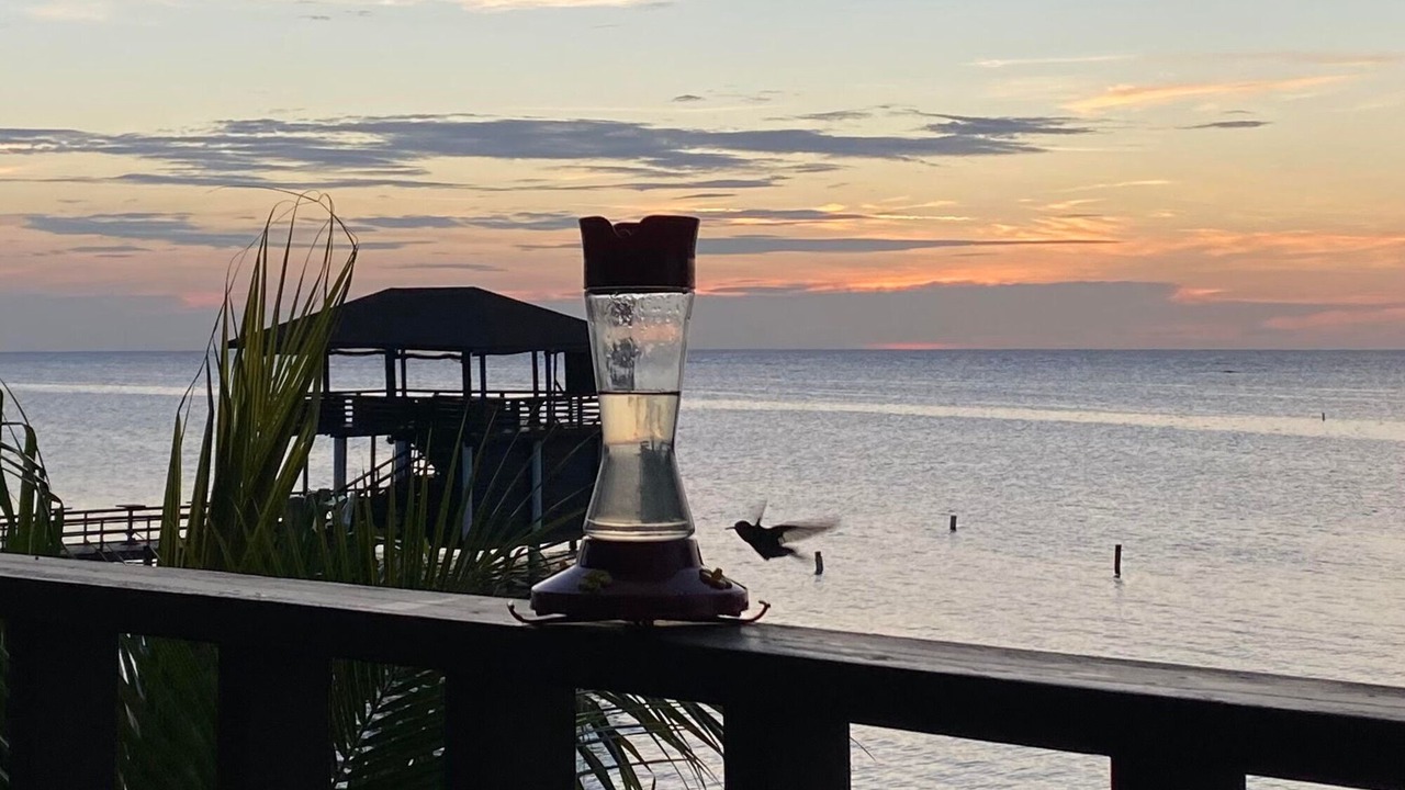 Photo of Others in Antoneys Cay