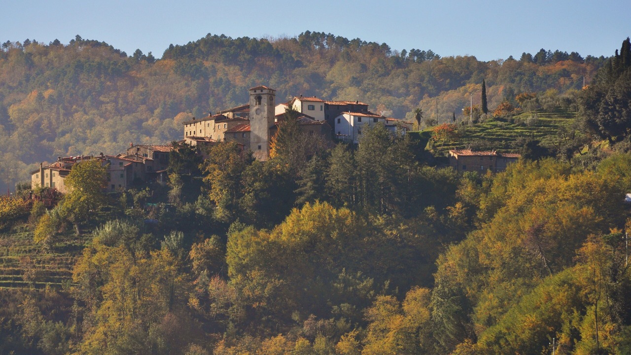 Photo of Others in Aramo